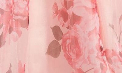 Next Up Floral Corset A-line Ballgown In Blush/ Multi