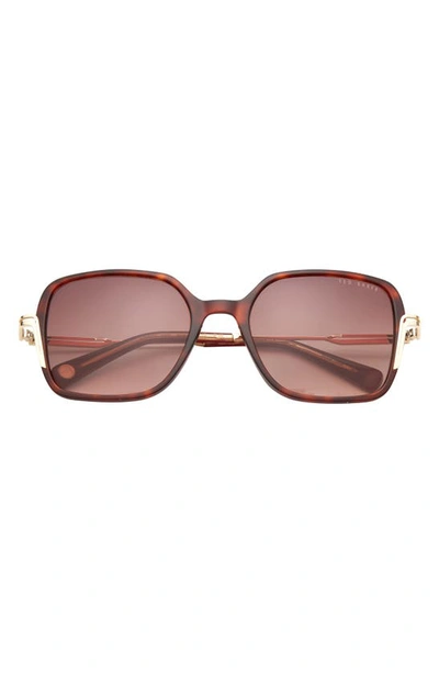 Shop Ted Baker 55mm Square Sunglasses In Tortoise