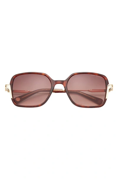 Ted Baker 55mm Square Sunglasses In Tortoise