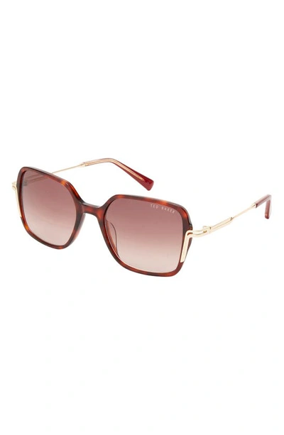 Shop Ted Baker 55mm Square Sunglasses In Tortoise