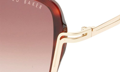 Shop Ted Baker 55mm Square Sunglasses In Tortoise