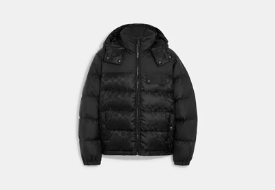 Shop Coach Outlet Signature Hooded Puffer Jacket In Black