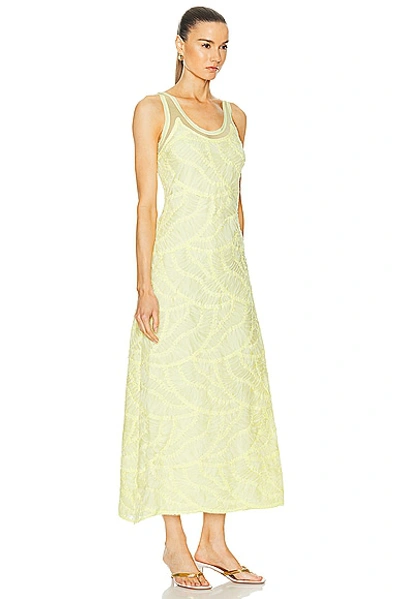 Simkhai Zakai Tank Maxi Dress In Sulfur