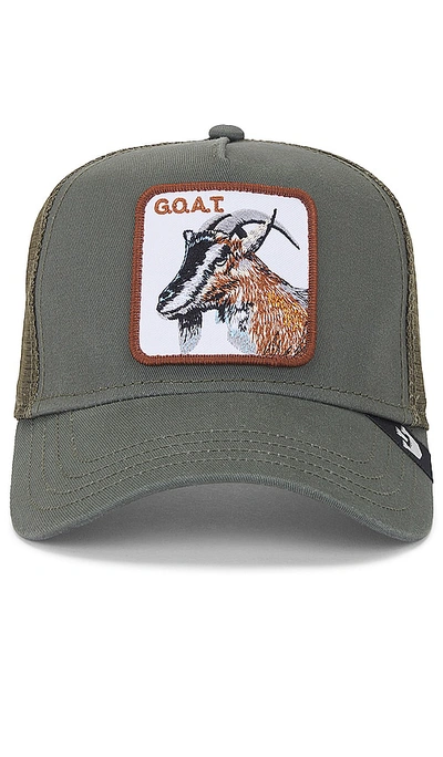 Shop Goorin Brothers The Goat Hat In 橄榄色