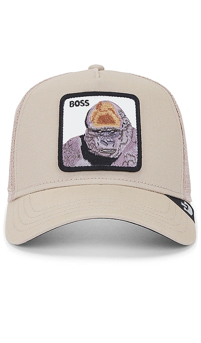 Shop Goorin Brothers The Boss Gorilla Hat In 卡其
