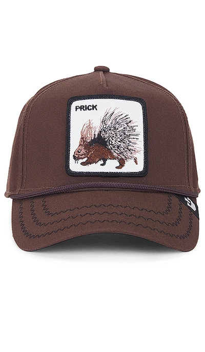 Shop Goorin Brothers Porcupine Hat In 深棕色