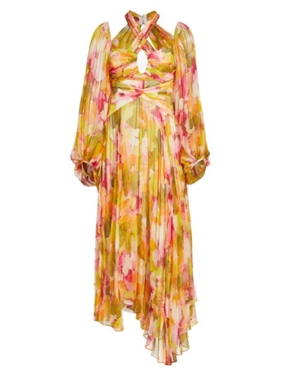Shop Acler Women's Abbeywood Pleated Balloon-sleeve Maxi Dress In Camelia Posy