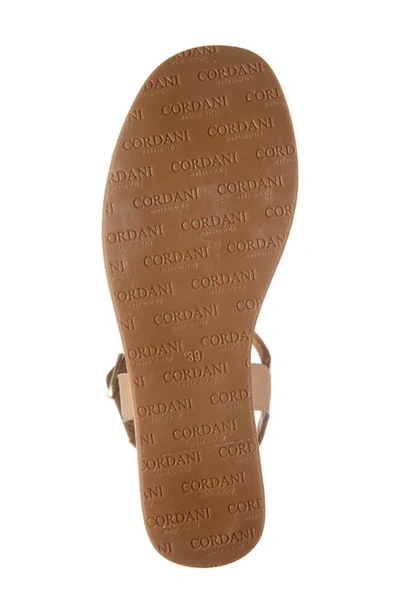 Shop Cordani Jaxon Ankle Strap Platform Wedge Sandal In Natural Leather