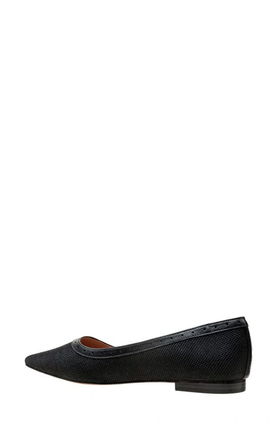 Linea Paolo Newport Pointed Toe Flat In Black