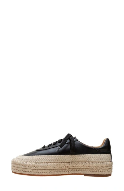 Linea Paolo Selma Platform Sneaker In Black