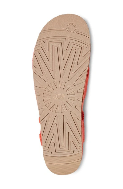 Shop Ugg Aubrey Ankle Strap Platform Sandal In Vibrant Coral