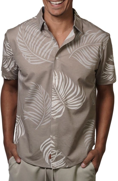 Shop Fundamental Coast Wilshire Tradewinds Short Sleeve Button-up Shirt In Beachwood