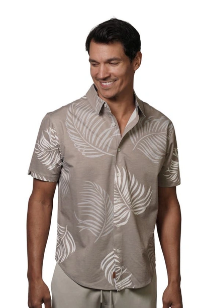 Shop Fundamental Coast Wilshire Tradewinds Short Sleeve Button-up Shirt In Beachwood