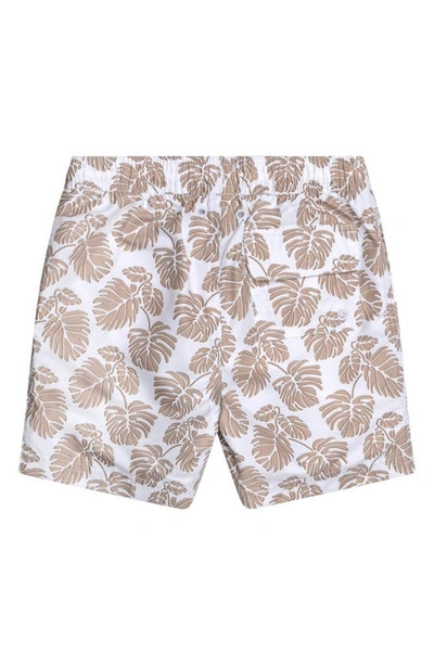 Shop Brooks Brothers Kids' Fitted Swim Trunks In Sand
