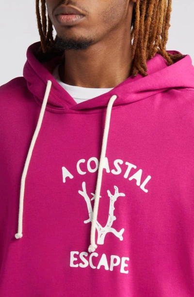 Shop Krost Coastal Escape Cotton Graphic Hoodie In Cactus Flower