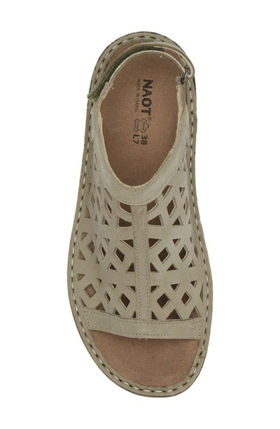 Naot Amadora Slingback Sandal In Sage Nubuck