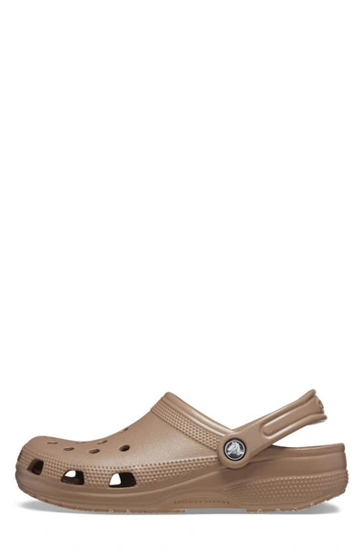 Crocs Classic Clog In Latte