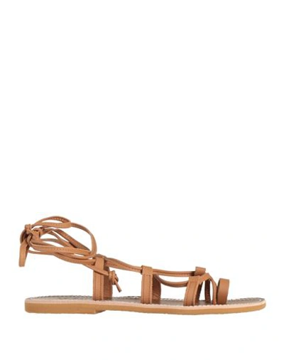 Shop Le Salentine Woman Thong Sandal Camel Size 7 Calfskin In Beige