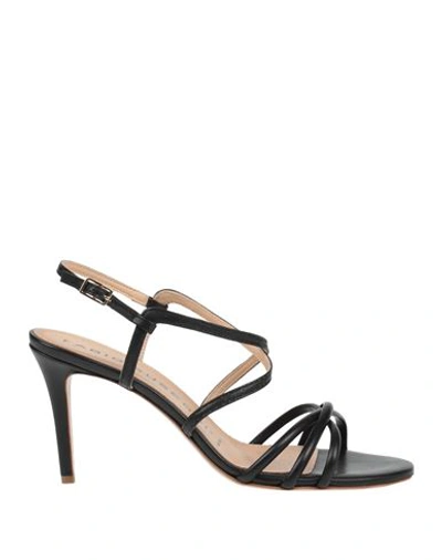Shop Fabio Rusconi Woman Sandals Black Size 5.5 Leather