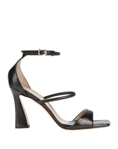 Shop Sergio Cimadamore Woman Sandals Black Size 8 Leather