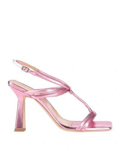Shop Sergio Cimadamore Woman Sandals Pink Size 8 Leather In Rose Gold