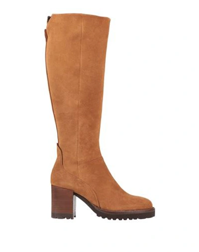 Shop Elvio Zanon Woman Boot Camel Size 7 Leather In Beige