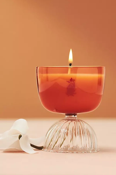 Shop Rewined Mimosa Coupe Glass Candle