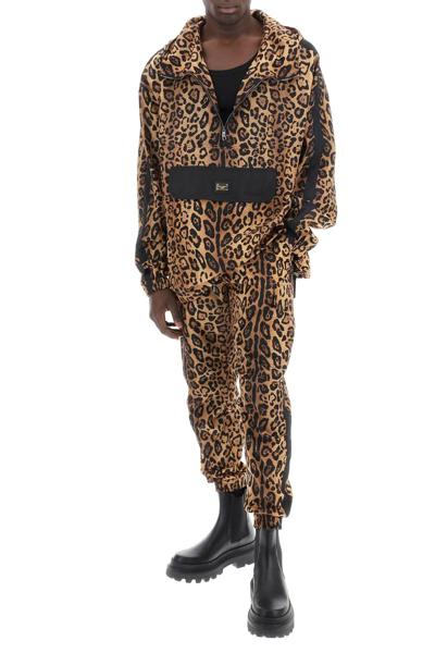 Shop Dolce & Gabbana Leopard Print Nylon Jogger Pants For In Beige,black