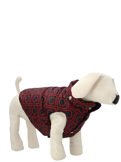 Shop Moncler Genius X Poldo All-over Logo Vest Pets Accesories Multicolor