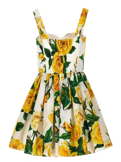 Shop Dolce & Gabbana Rose Gialle Dresses Yellow