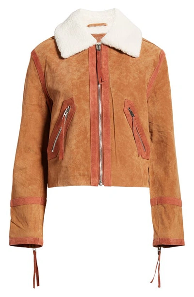 Shop Blanknyc Suede Jacket With Faux Shearling Collar In Caramel Sauce