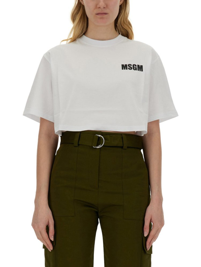 Shop Msgm Logo Printed Cropped T In White