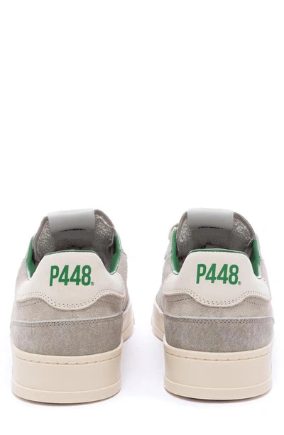 Shop P448 Bali Sneaker In Prato/ Cream