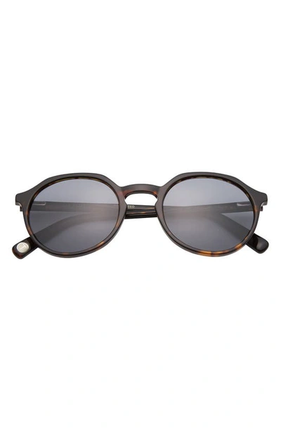 Shop Ted Baker 51mm Polarized Round Sunglasses In Tortoise