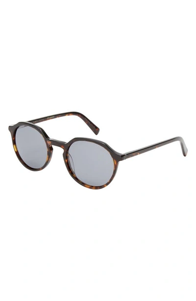 Shop Ted Baker 51mm Polarized Round Sunglasses In Tortoise