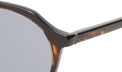 Shop Ted Baker 51mm Polarized Round Sunglasses In Tortoise