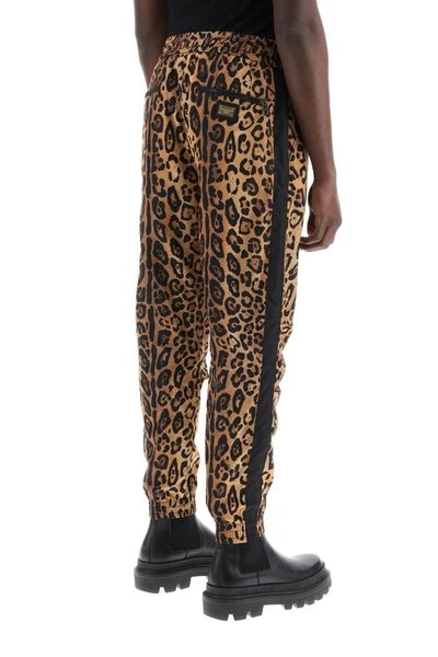 Shop Dolce & Gabbana Leopard Print Nylon Jogger Pants For In Multicolor