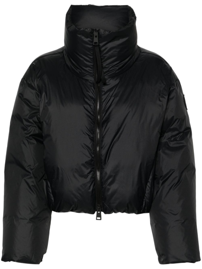 Shop Canada Goose Black Spessa Puffer Jacket