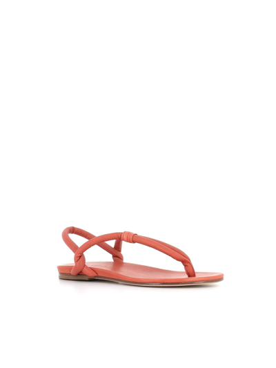 Del Carlo Thong-strap Leather Slides In Orange
