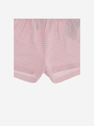 Shop Polo Ralph Lauren Striped Cotton Logo Short Pants In Pink