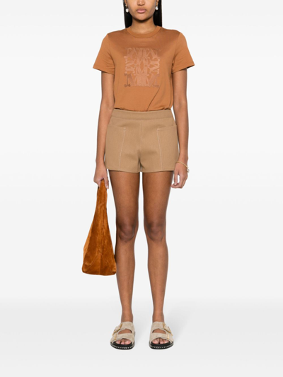 Max Mara Taverna Cotton T-shirt In Brown