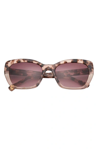 Shop Ted Baker 55mm Cat Eye Sunglasses In Blush Tortoise