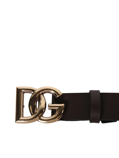 Shop Dolce & Gabbana Belts In Brown