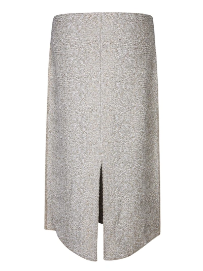 Shop Fabiana Filippi Skirts In Grey