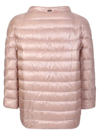 Shop Herno Down Jackets In Pink