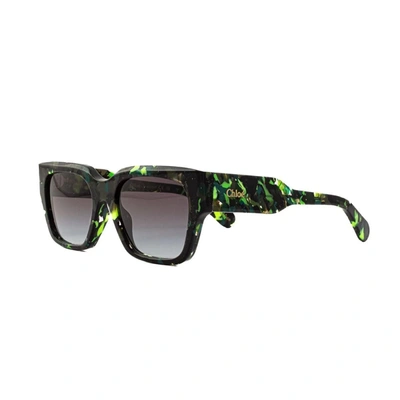 Shop Chloé Ch0190s Linea Gayia Sunglasses In 005 Havana Black/green