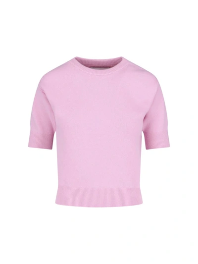 Shop Sa Su Phi Top In Pink