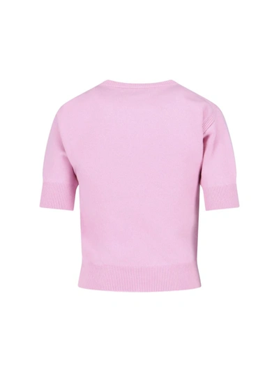 Sa Su Phi Crew Neck Cashmere Pink Top In Pink