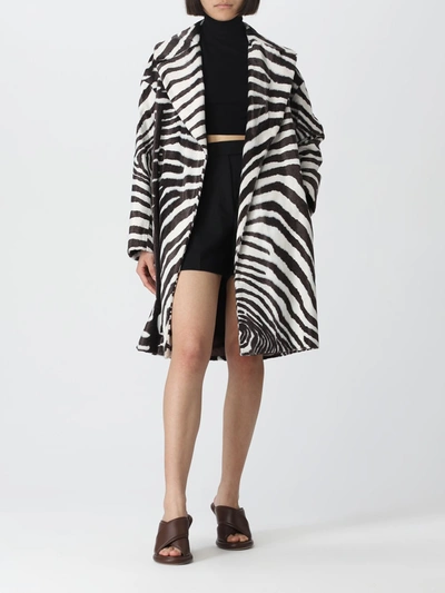 's Max Mara S Max Mara Womens Ecru Ricordo Tiger-print Cotton-blend Coat In Cream