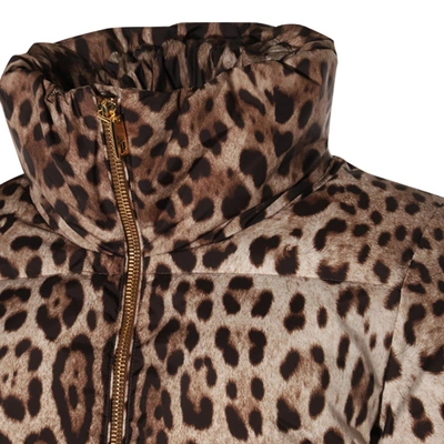 Shop Dolce & Gabbana Outerwears In Brown/neutrals